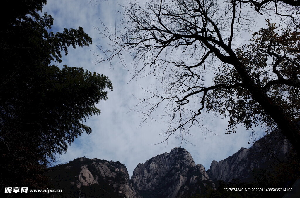 山间树影与巍峨山峦