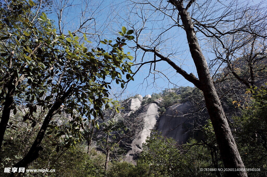 山林间的隐秘瀑布景观