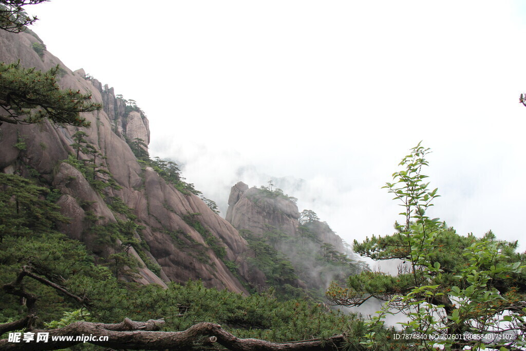 巍峨山峰与葱郁树木景观