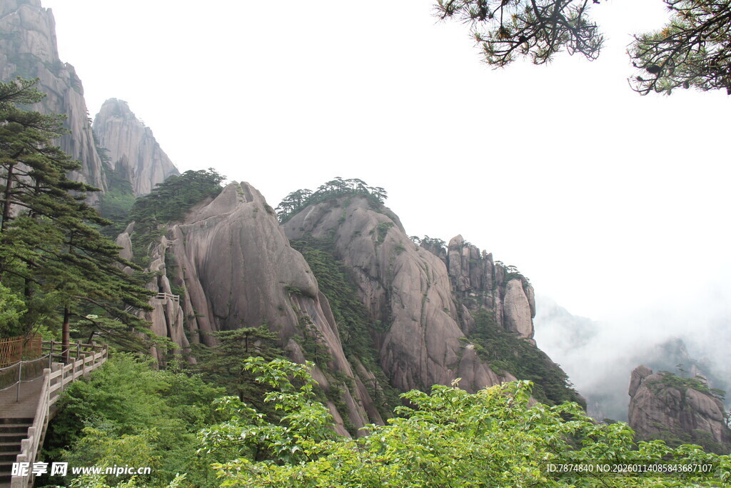 黄山奇峰间的翠绿景致