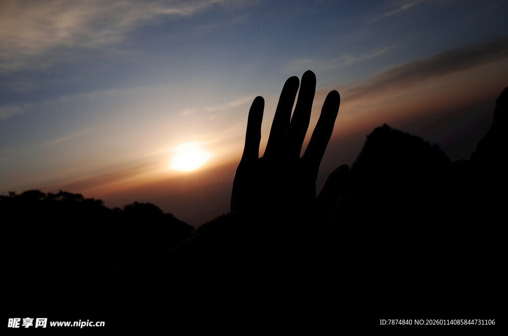 夕阳下的仙人掌剪影