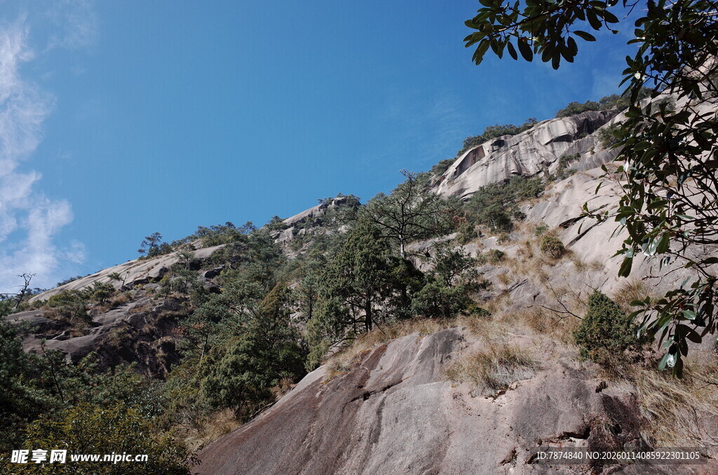 陡峭山壁与繁茂绿植