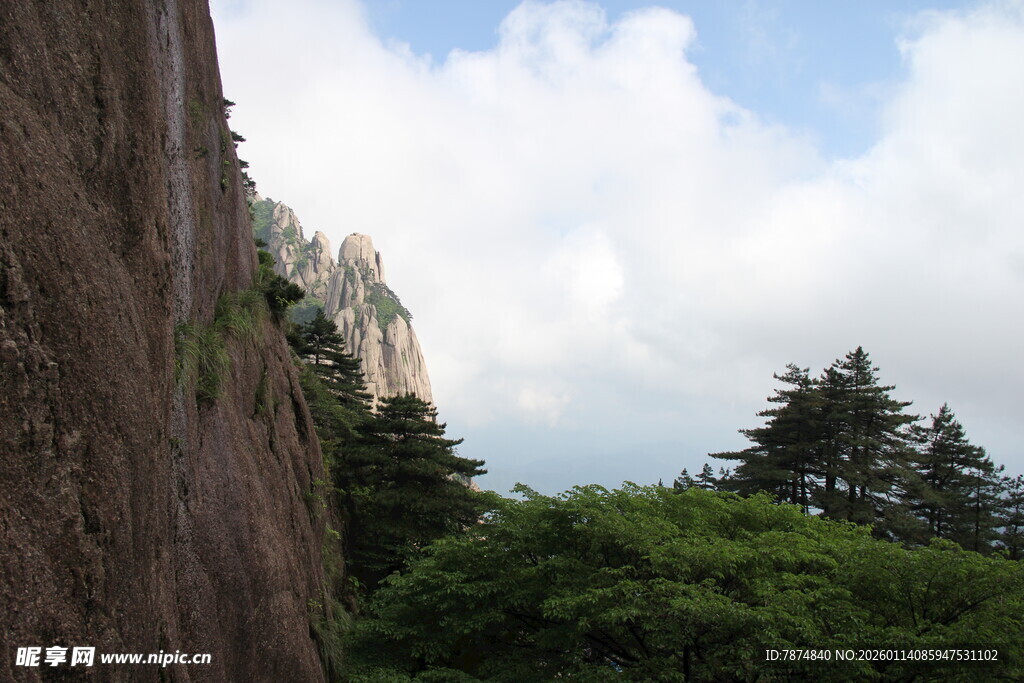 陡峭山壁旁的葱郁林木