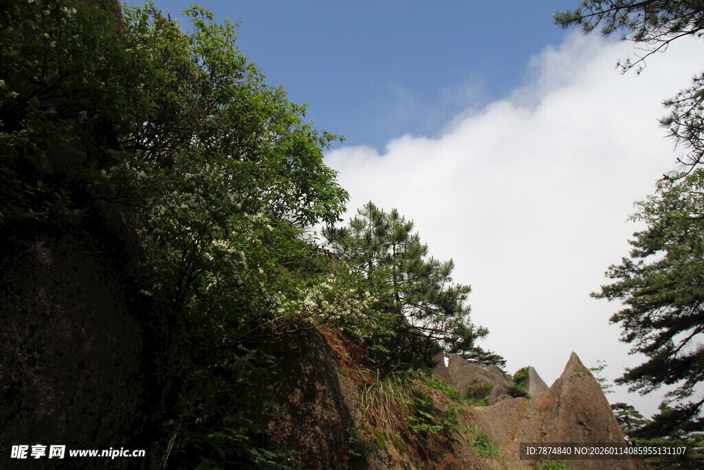 山间绿树与蓝天白云景观