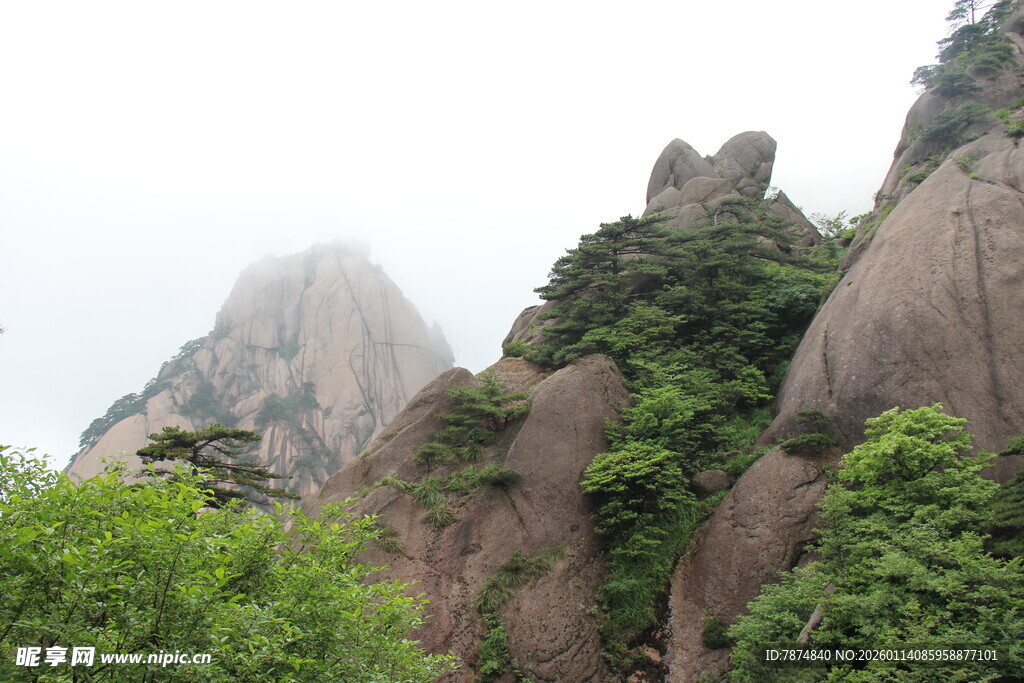 秀丽山峰与葱郁植被景观
