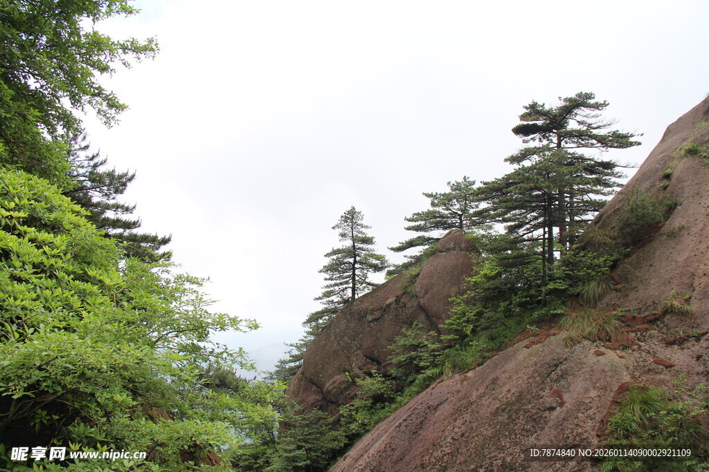 山间葱郁绿树与嶙峋岩石