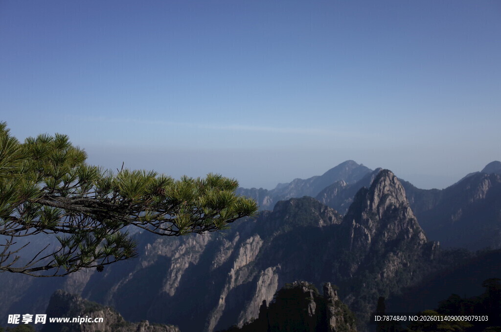 黄山美景 青松与巍峨山峦