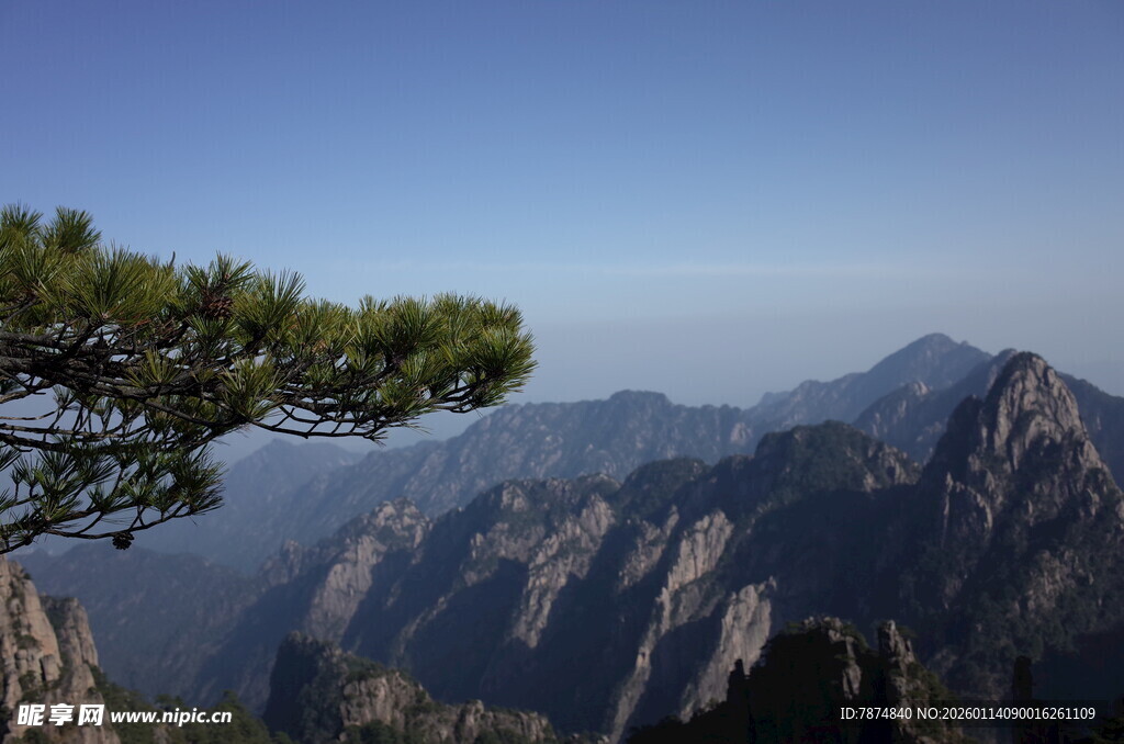 黄山奇峰与孤松景观