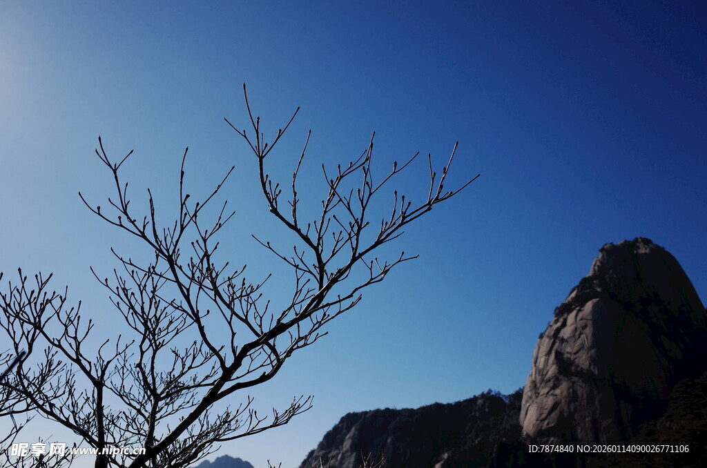 蓝天枯树旁的巍峨山石