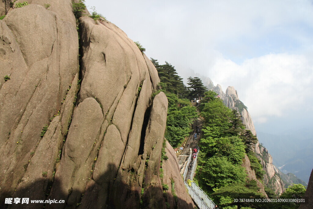 陡峭山壁上的绿色景致