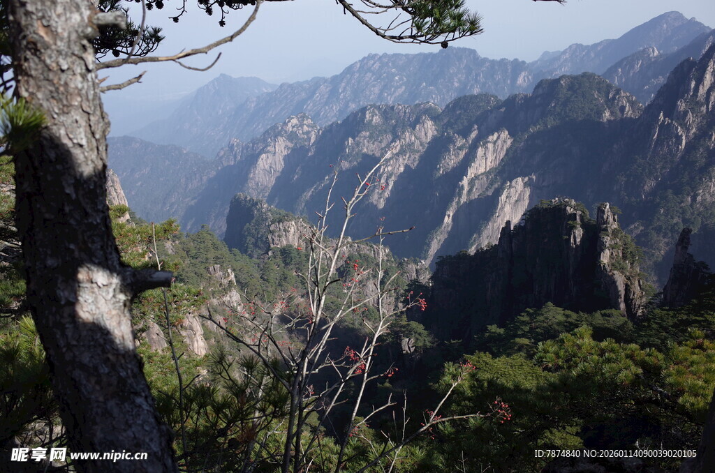 壮丽黄山山峦景观