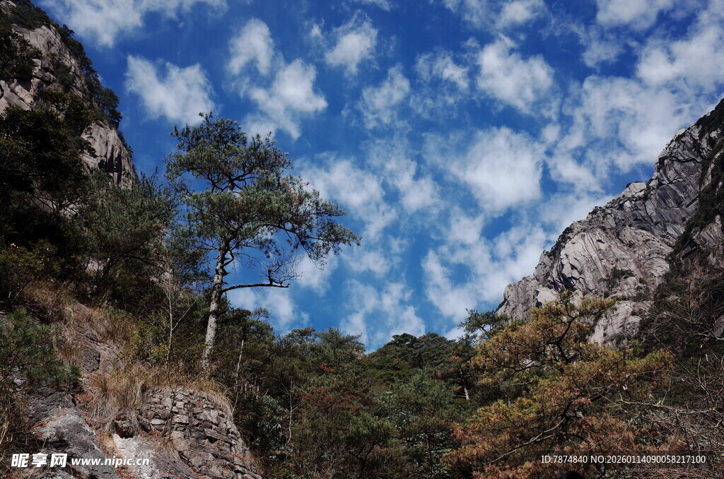 山间树景 蓝天白云相衬
