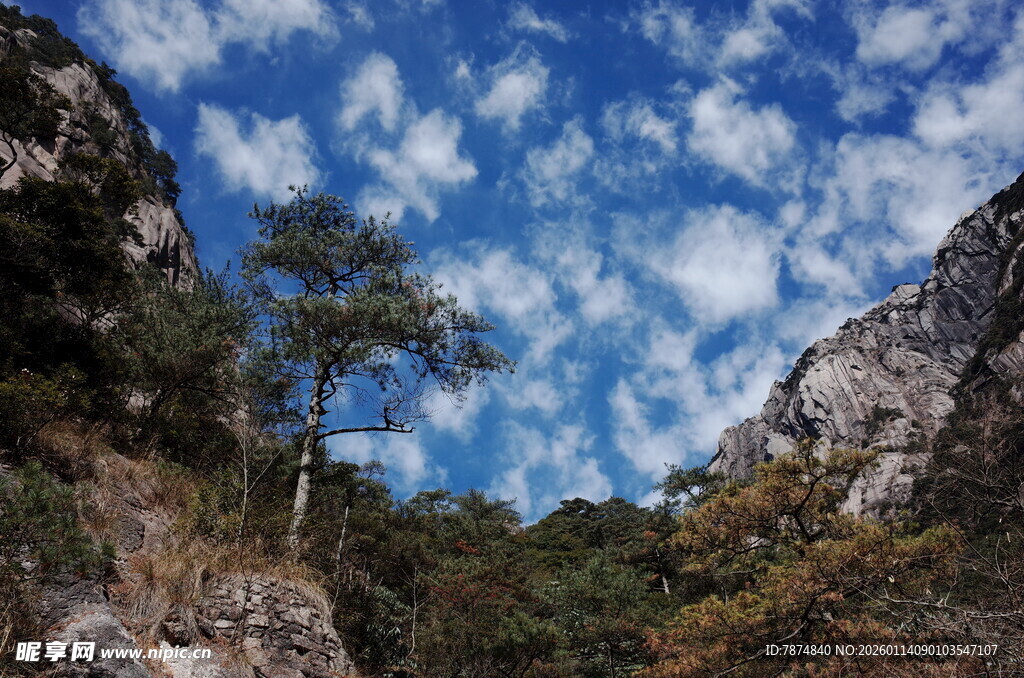 山间蓝天绿树美景