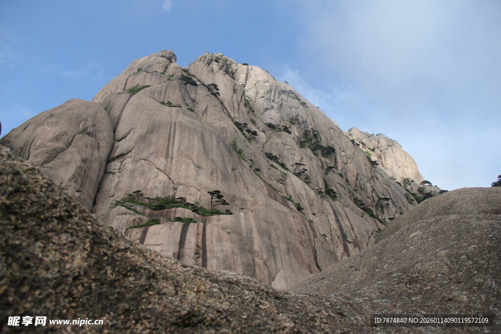 巍峨山石间的孤松