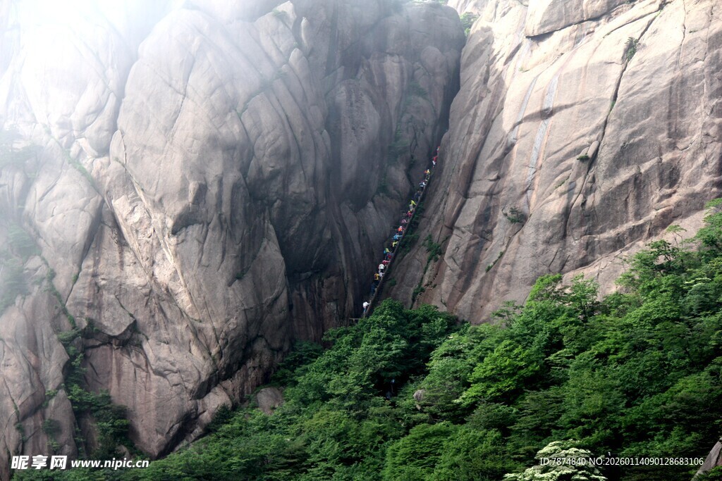 陡峭山壁旁的葱郁植被