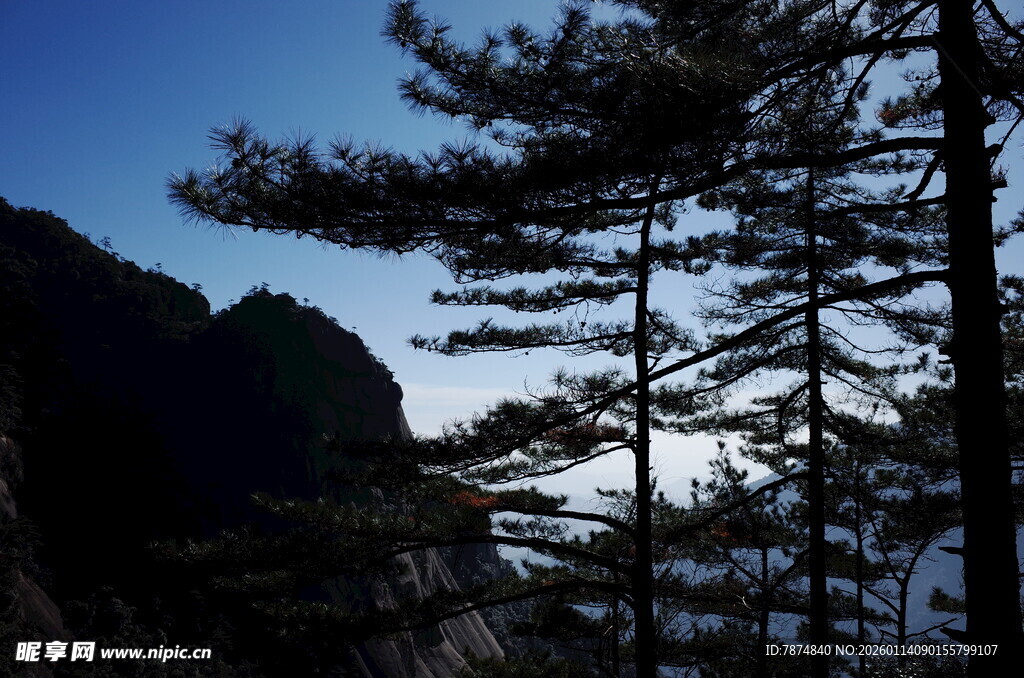 山间松影 暮色中的自然景致