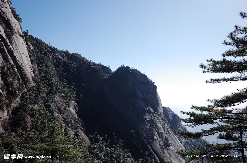 巍峨山峰与挺拔松树