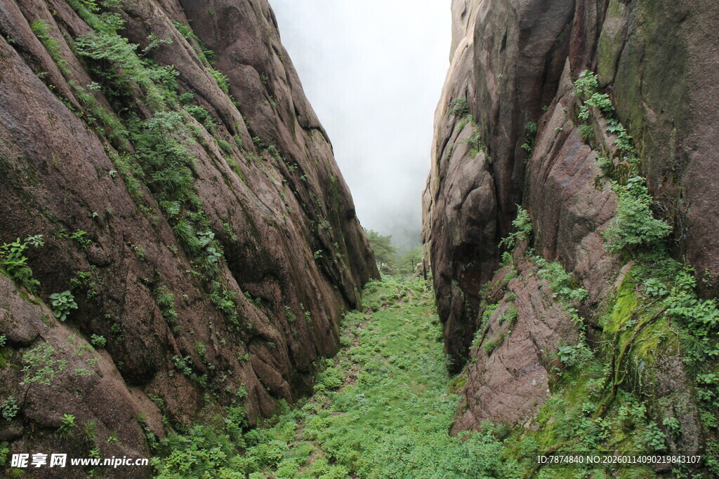 山间狭缝绿意盎然