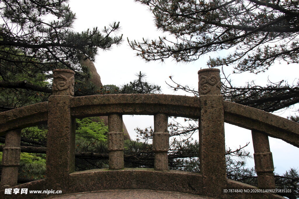 古朴木桥隐于林间