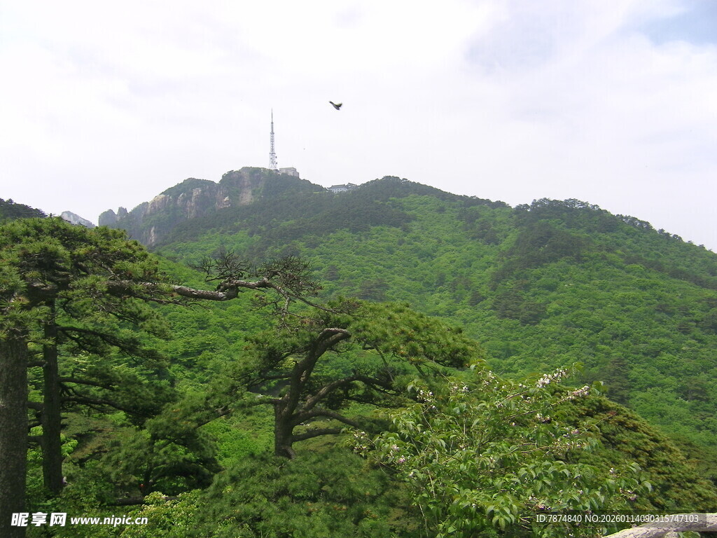 青山绿树间的秀丽山峰