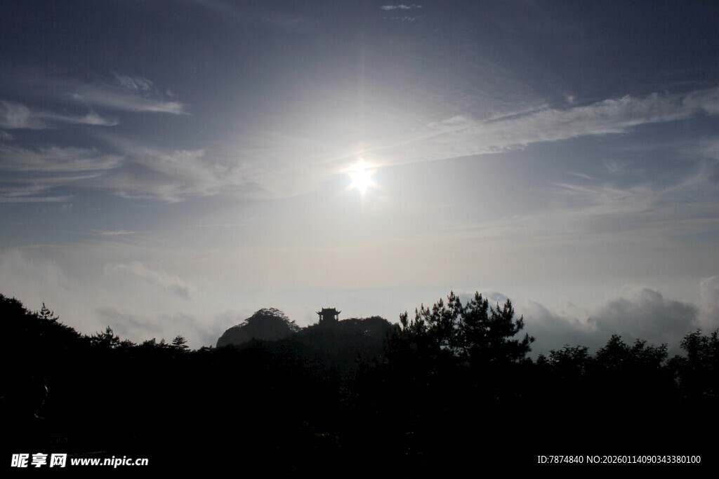 日落时分的天际与树木