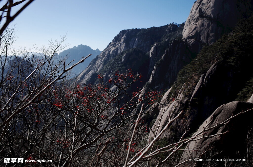 壮丽山景与山间植物