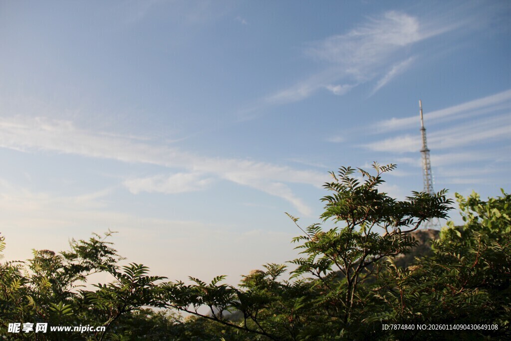 蓝天绿树间的通信塔