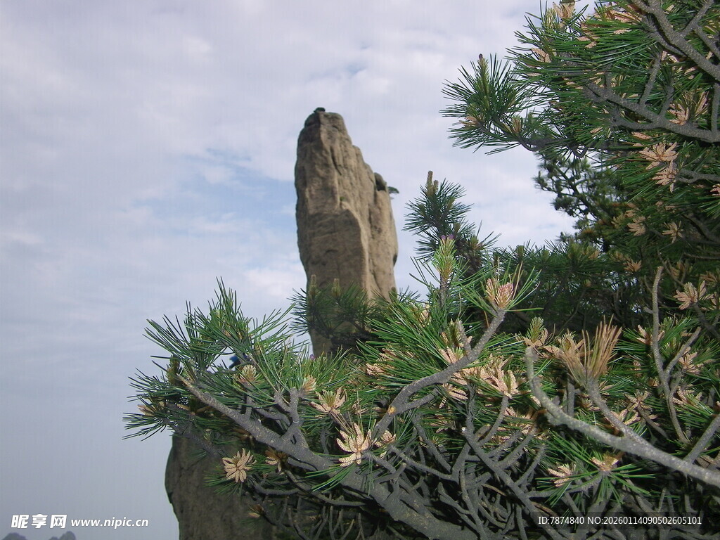 奇峰耸立伴绿植