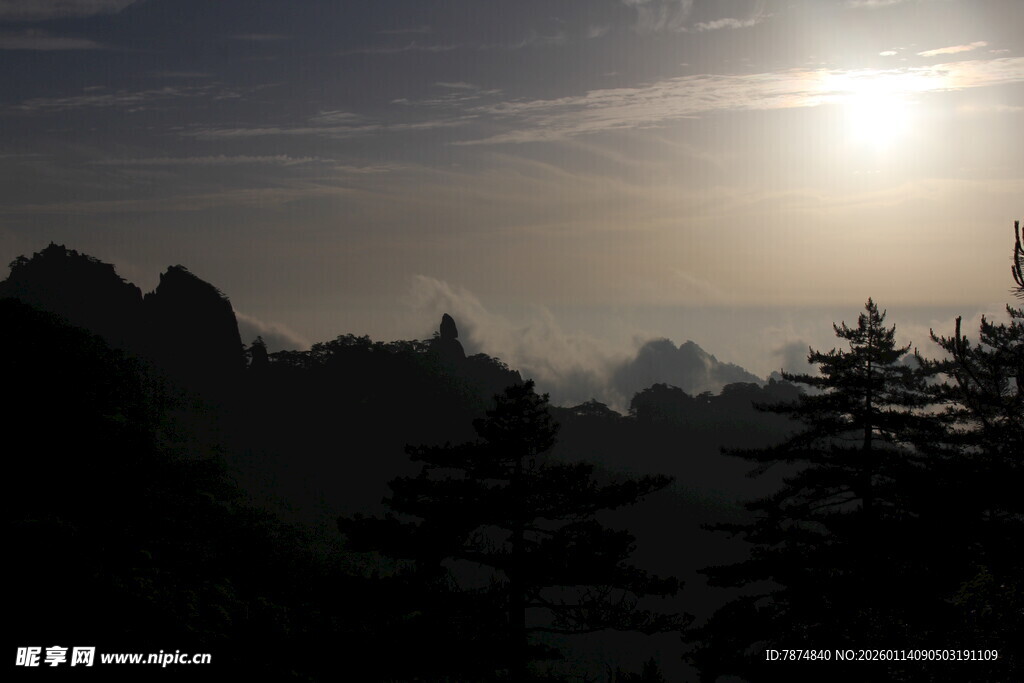 日出山林间壮丽景致