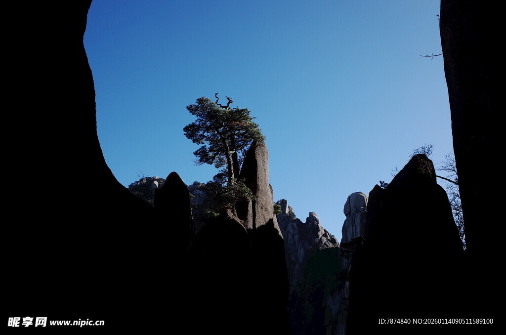 孤树挺立在奇特岩石间