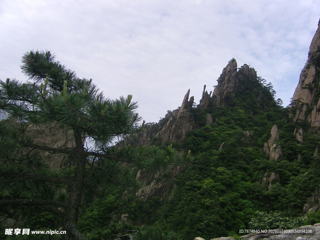 峻峭山峰旁的翠绿松树