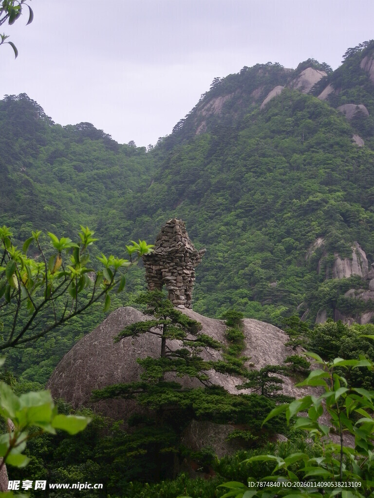 山间奇石隐于葱郁植被间