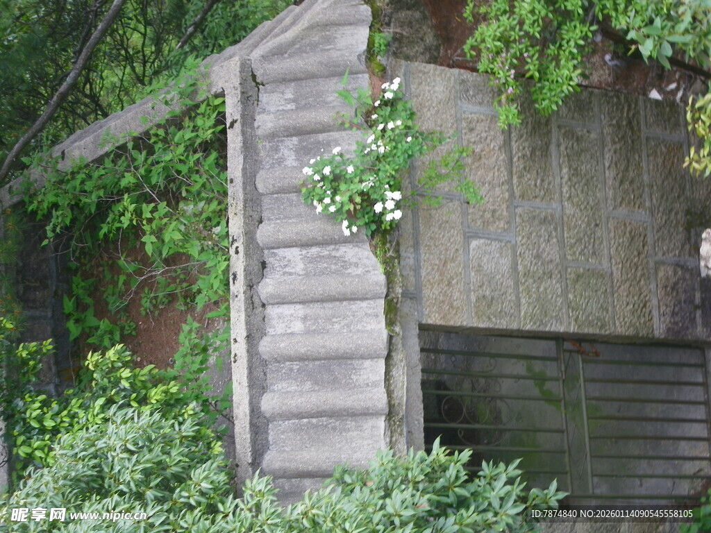 木质阶梯隐于绿植之间