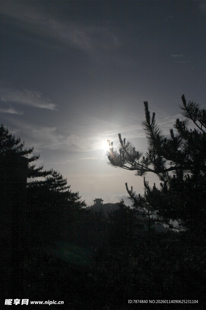 夜幕下的树林与初升明月