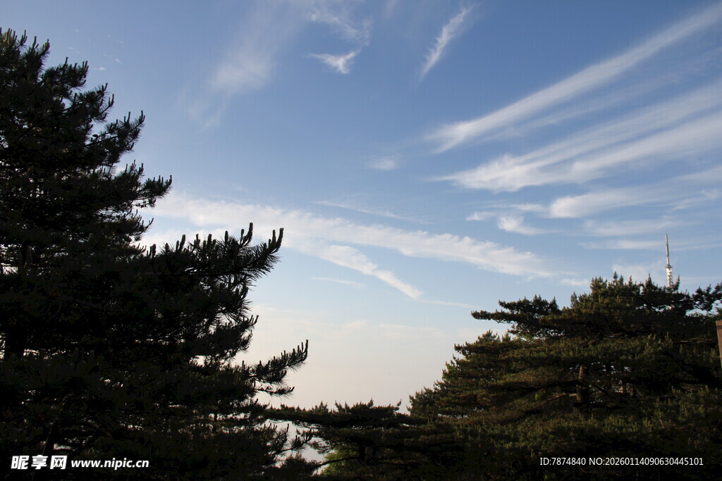 林间天空现柔美丝状云彩