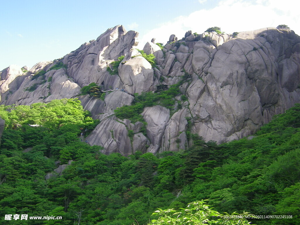 巍峨山峦覆绿植美景