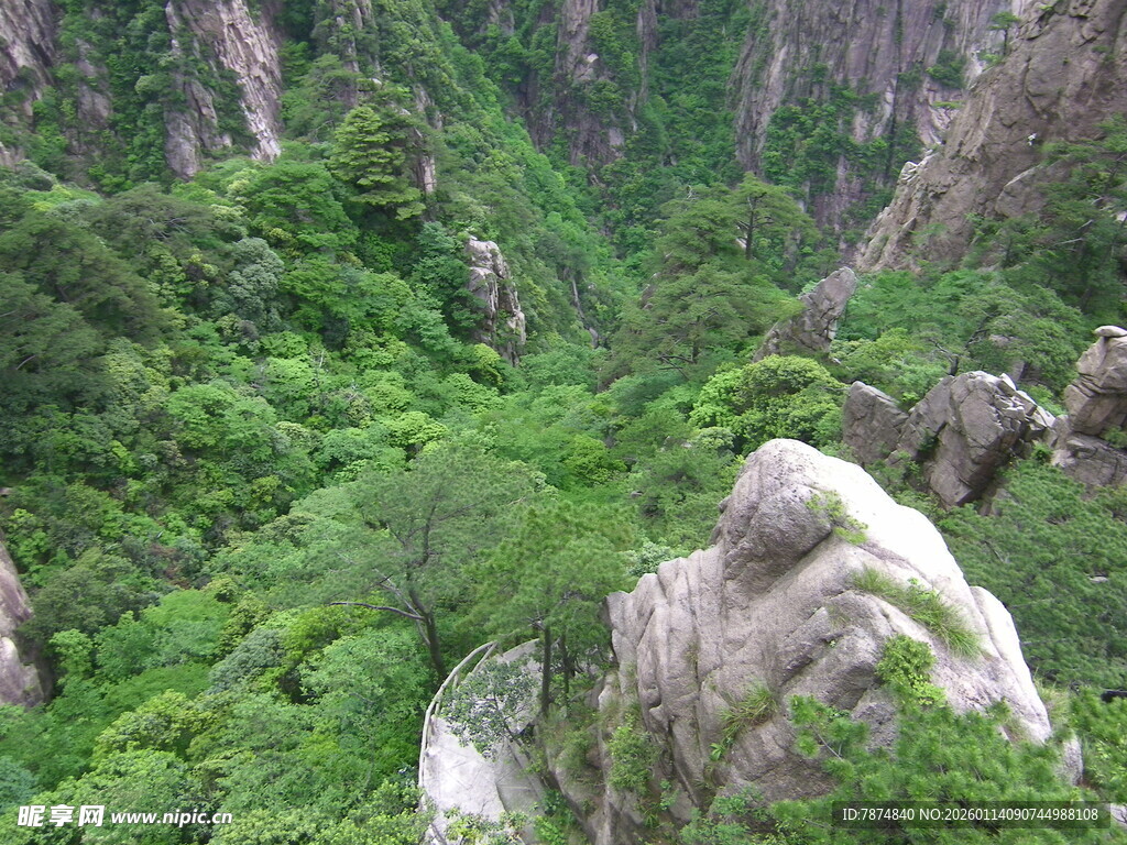 山间绿意盎然的秀丽景致