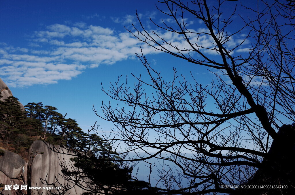 蓝天古树旁的壮美山景