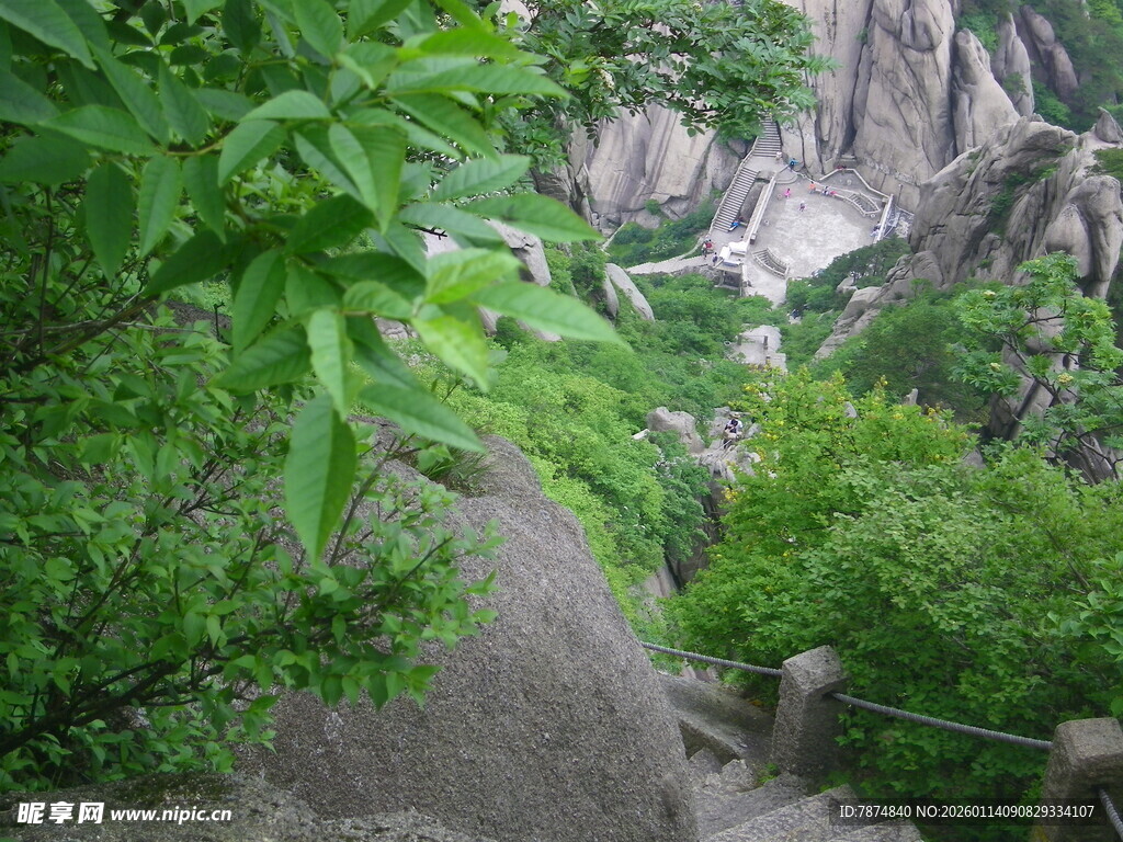 山间绿意盎然的石阶小径