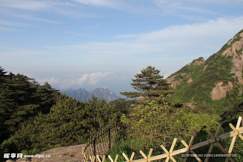 山间美景 绿意盎然的景致