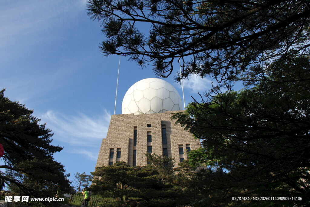 圆顶建筑隐于葱郁树木间