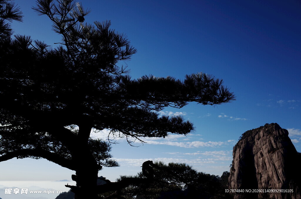 黄山松与奇峰美景