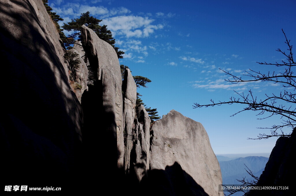 悬崖峭壁上的孤松
