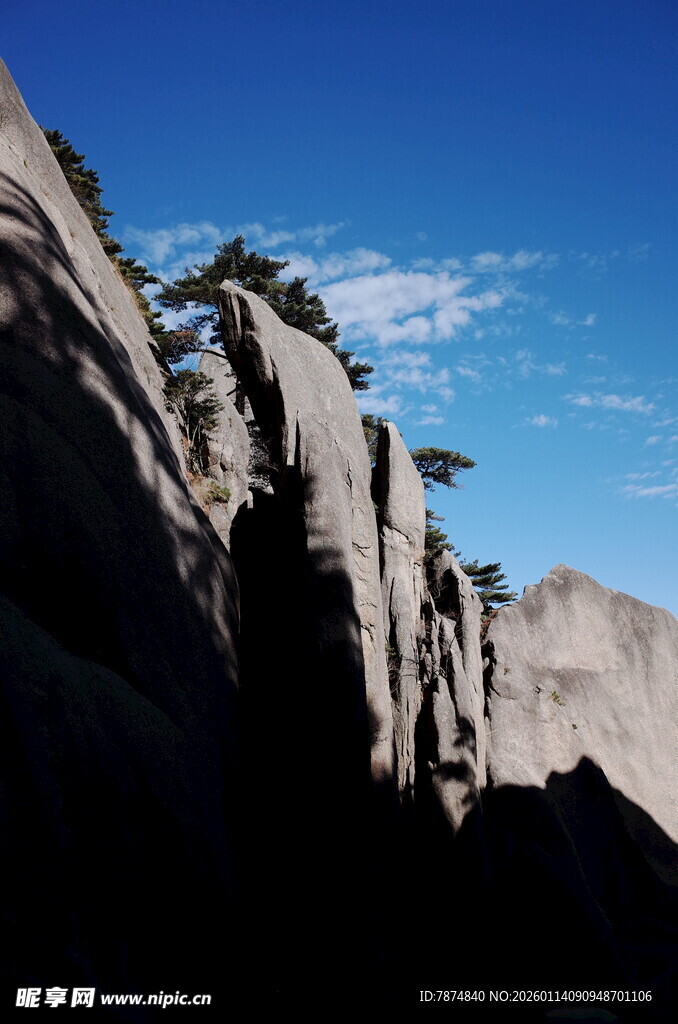 险峻山峰上的孤松