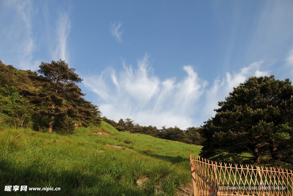 田园风光中的木栅栏与绿树