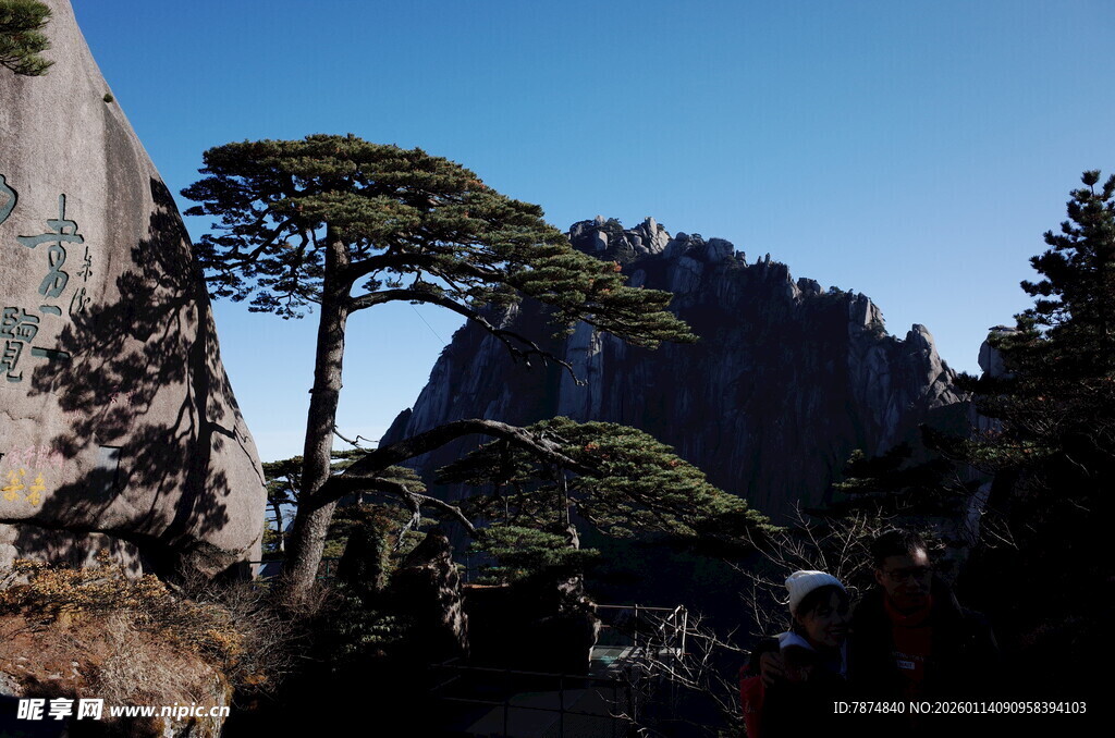 黄山奇峰与苍松景观