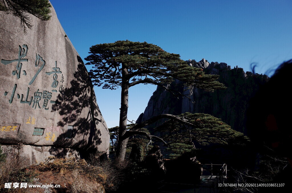 黄山奇峰与苍松景观
