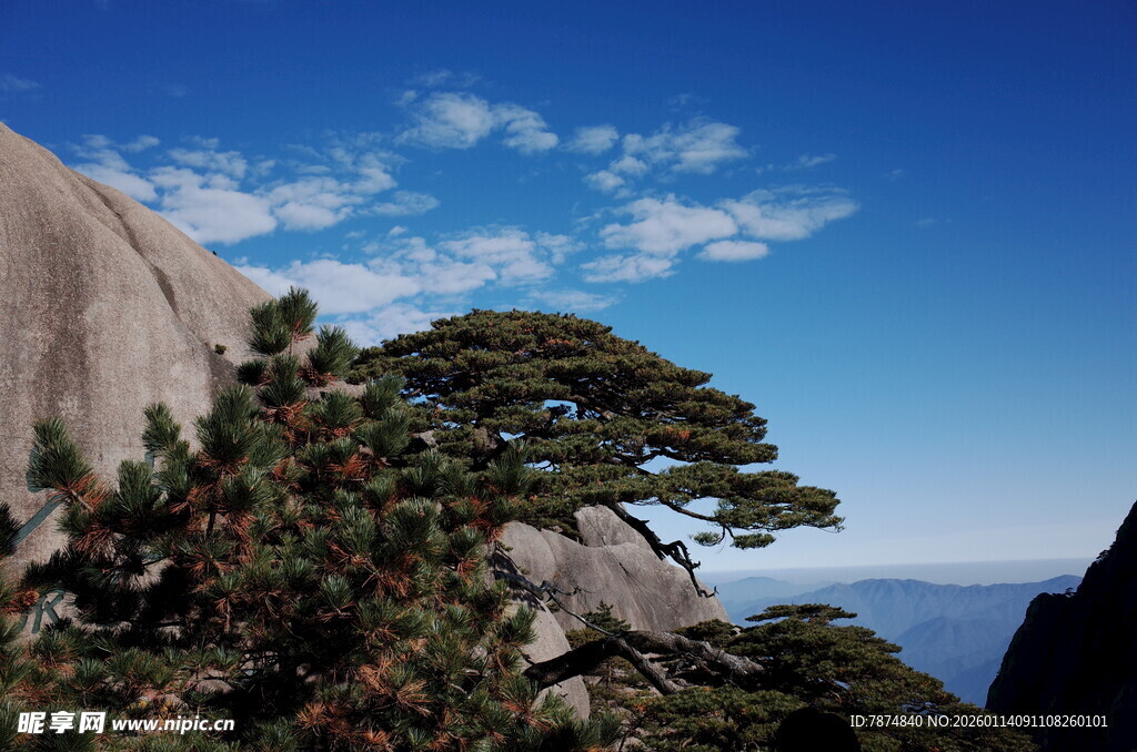 黄山奇松伴蓝天美景