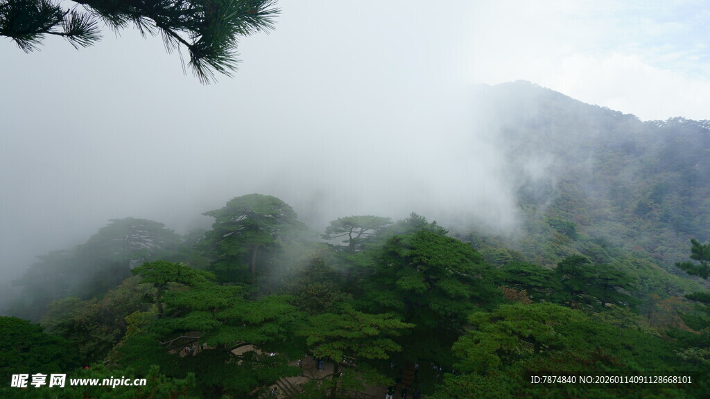 云雾缭绕的翠绿山峦