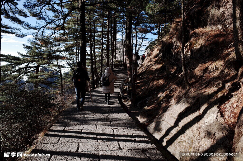 山间木栈道 漫步自然间